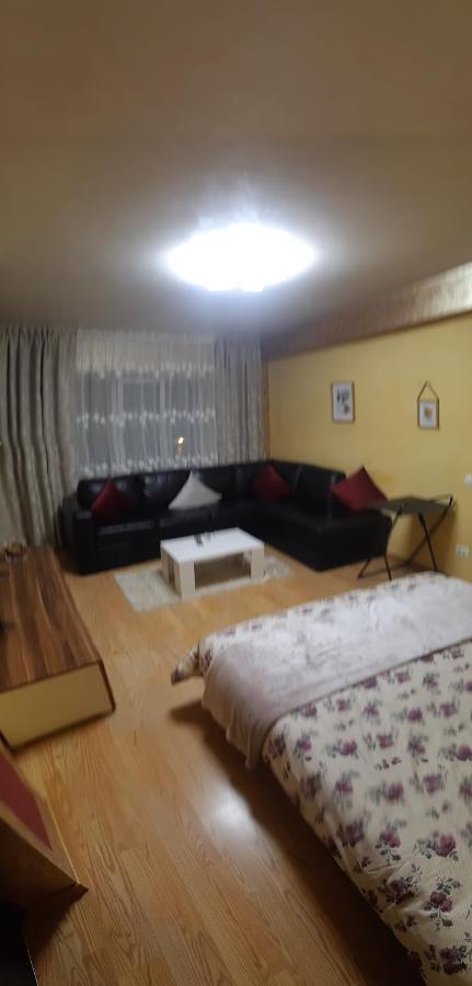 Apartament In Centrul Iasului Яш Екстериор снимка